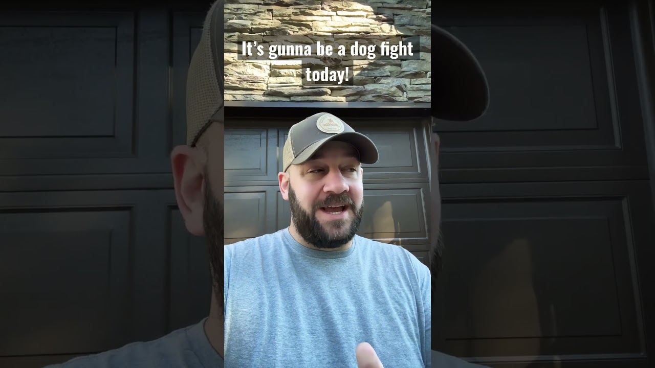 Oh, today is going to be a fight #shortsfeed #shortsvideo #congress #democrats #biden #atf