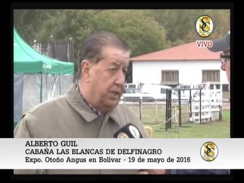 19-05-16 NOTA ALBERTO GUIL - CABAÑA LAS BLANCAS DE DELFINAGRO - EXPO BOLIVAR - BOLIVAR.