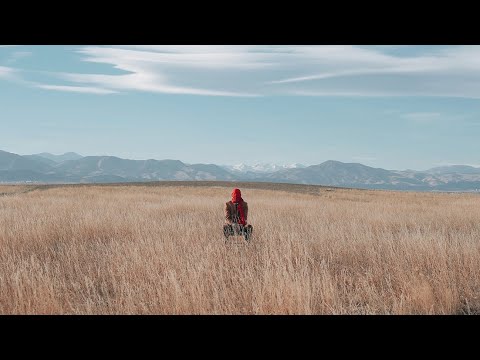 Whitacre - Here, Again. (Official Music Video)