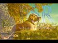Rodario Silma – Dreamtime 