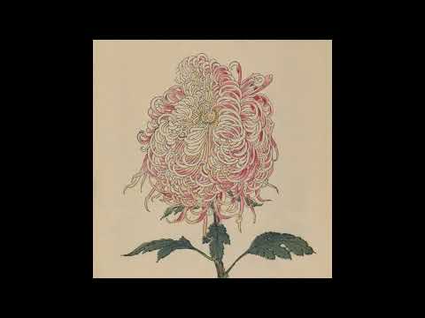 Indefinite Pitch PREMIERES. Hideo Nakasako - Niwa [Muzan Editions]