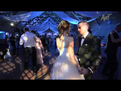 GEA ( Grupa Euro Art ) 2016 Live - Tebe ne bih mijenjao ( Tony Cetinski )