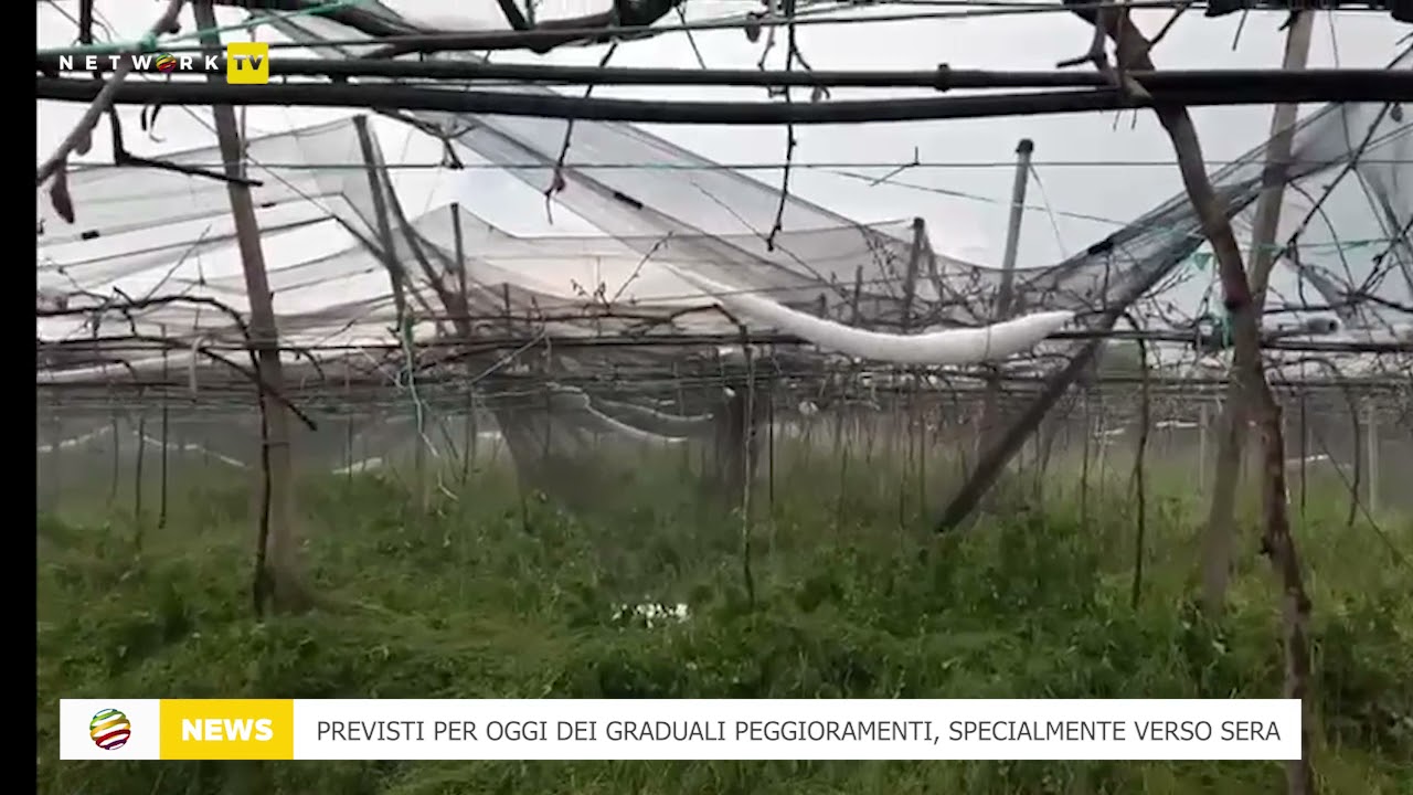 Descrizione dell'immagine