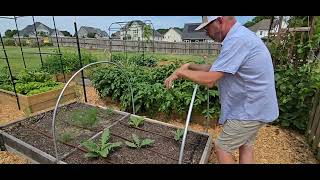 Garden Tour Exposes My Best & Worst Plants