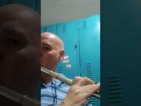 "Chorando em São Paulo " Magda Santos e Pó, flauta Deford vazada com bocal Yamaha prateado.