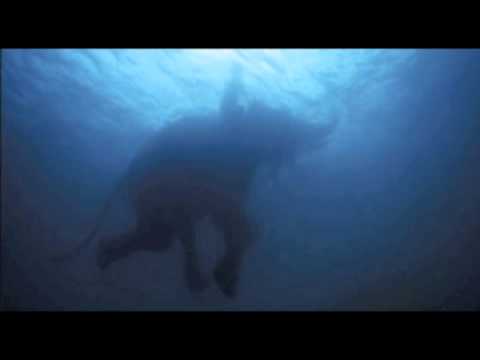 Five Permanent Obstacles to Your Happiness: Know When to Cut and Run