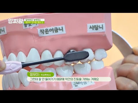 칫솔 세균 확실히 제거하는 방법