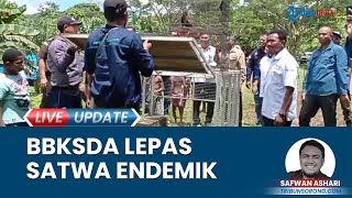 BBKSDA Papua Barat Lepas 30 Ekor Burung Dilindungi di Kampung Persiapan Malasigi seusai Gelar Razia