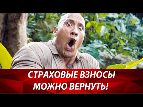 Как ИП на УСН доходы минус расходы может вернуть страховые взносы? Бизнес и налоги.