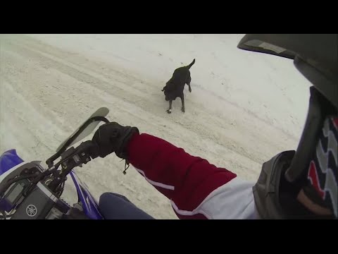Dog Attacks Dirtbike and Snowy Shenanigans