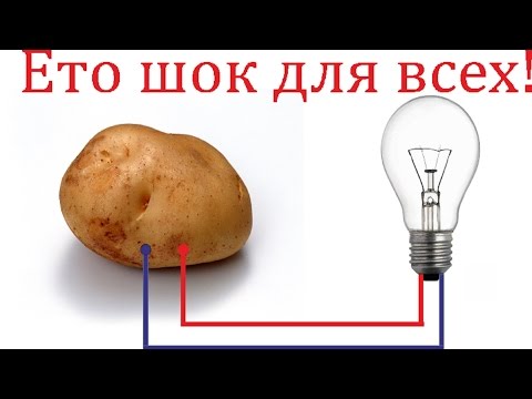 Свет из картошки супер гениально просто разрыв