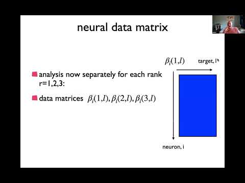 Neural manifolds and DFT