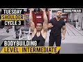 TUESDAY: High-Rep Shoulder Workout! Cycle 3 (Hindi / Punjabi)