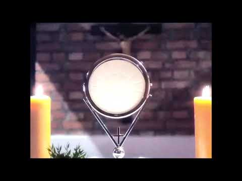 Nie bój się - Jezus Drogą