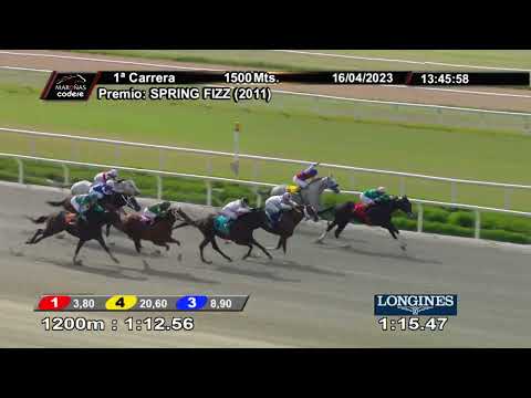 230416 c01 NINE ELEVEN  (BRZ)