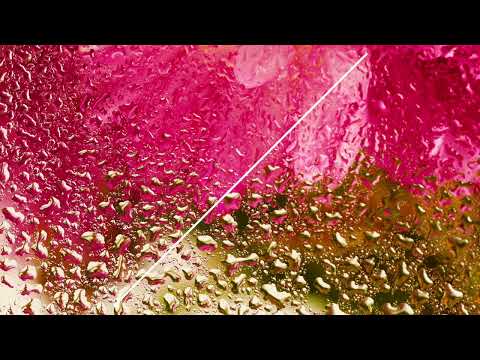 Franco Dalmati - Star on MME