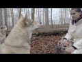 Circle J - The Wolves