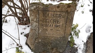 Wernigerode Bismarckturm light mit Schatzi