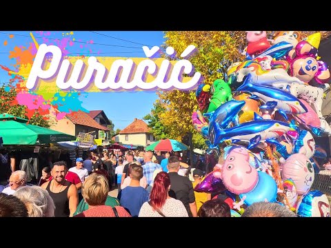 Nezapamćena gužva u Puračiću  - 14.10.2023. (4K)
