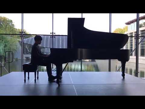 Yekwon Sunwoo - Schubert D. 958 (1st mvt excerpt)