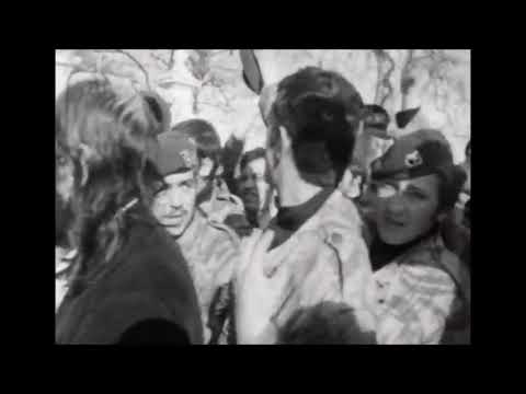 11 de Março de 1975