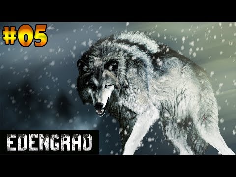 ENCONTRAMOS UM LOBO ALPHA / SOBREVIVÊNCIA EVOLUINDO !!! -- EDENGRAD #05
