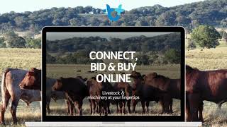 AuctionsPlus | Connect, Bid & Buy, Online - Get Started Today!