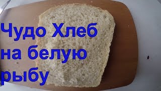 Хлебные насадки для рыбалки