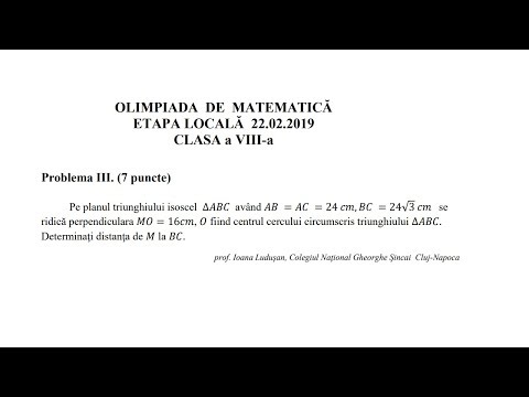 Olimpiada locala 2019, clasa a 8-a - Problema 3