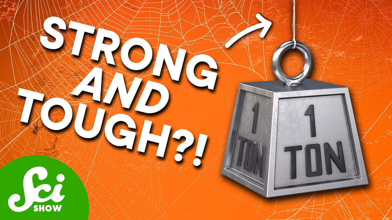 We Finally Made Synthetic Spider Silk