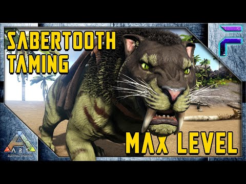 BEGINNERS GUIDE to TAMING SABERTOOTH TIGER - Ark: Survival Evolved [E6]