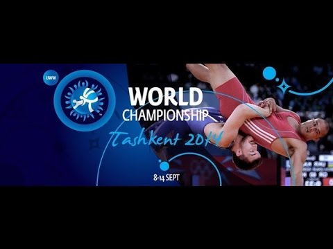 WWC2014. BELENIUK (UKR) vs AZIZSIR (GER) 85 kg