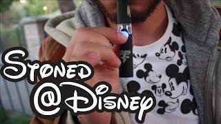 Stoned at Disneyland Ep8 - Roger Rabbits Acid Trip