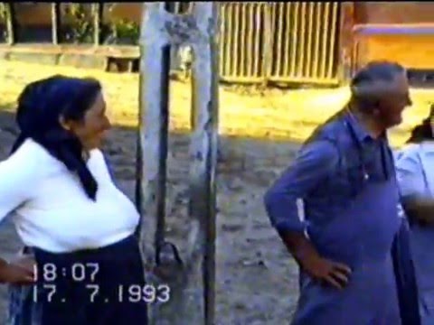 Lepindea City -   5 Iunie1993