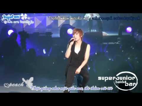 ‪Vietsub Super Junior Super Show2 VTR Shinning Star mess SJF
