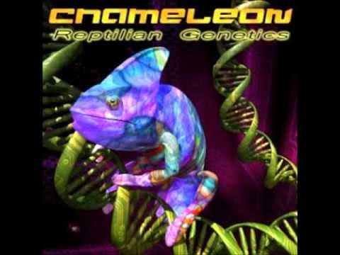 Chameleon - Reptilian genetix