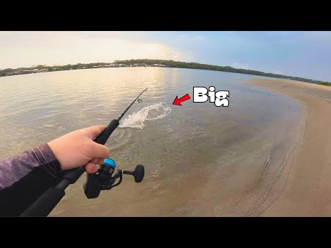 Landbased GIANT | Sand Flat Fishing