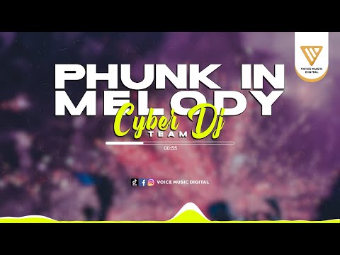 Phunk In Melody - CYBER DJ TEAM (Official Audio Visualizer)