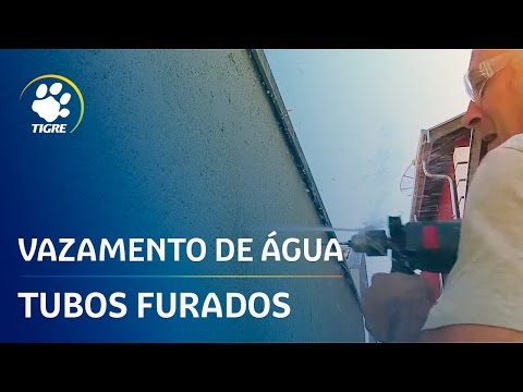 O que fazer em infiltração ou vazamento de água | Empoeirados | Tigre