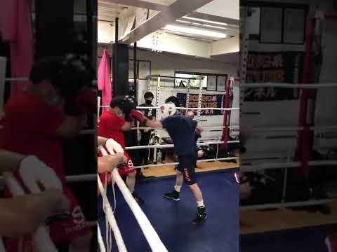 #shorts 61歳同士のスパーリング
