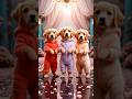 Funny Puppies Crezy Dance Cutepuppy Funnyvideo Dog Viraldance Dogshorts Trending 553
