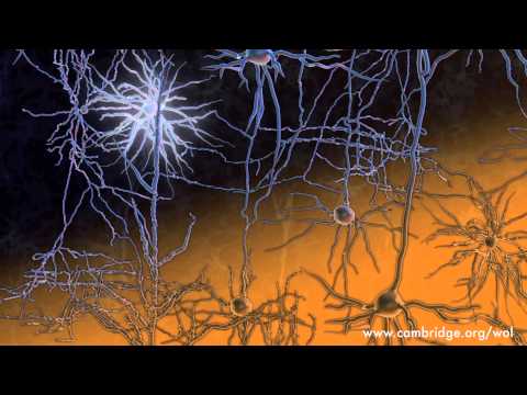 The Wonders of Light - discover the spectacular power of light!