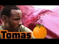 U Tomas Uveze Ubunzima Bempilo Ayiphilayo