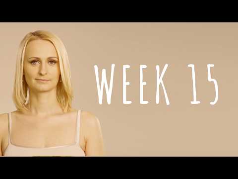 15 Weeks Pregnant - Pregnancy Week by Week
