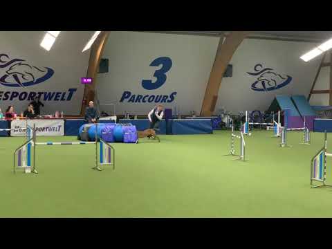 27.01.2019 - Chii - A1 - 1.Platz