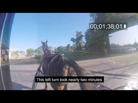 The challenges of driving a horse & buggy