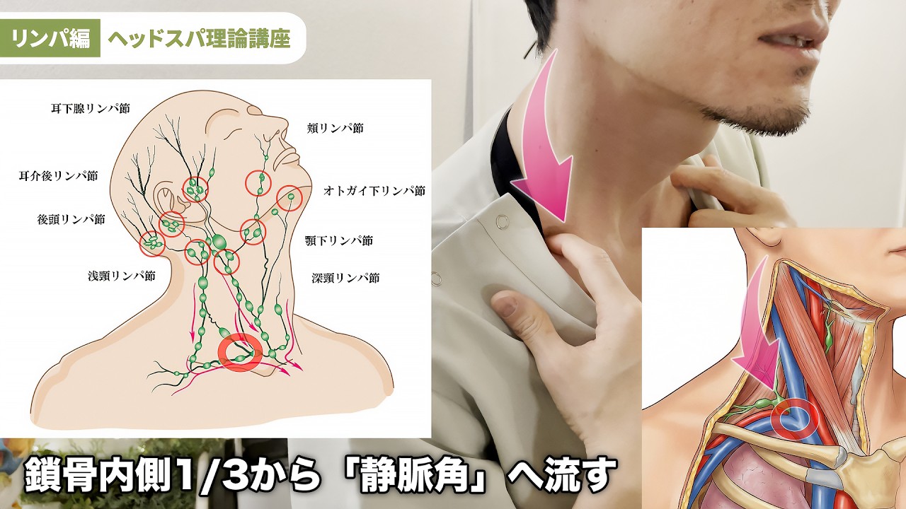 1cmの差で効果が変わる。ドライヘッドスパ「骨指標」リンパ完全攻略