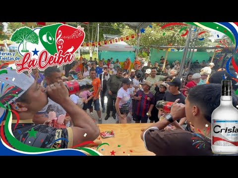 ASI CONTINUAN LAS FERIAS Y FIESTAS DE LA CEIBA 2026 EN VICTORIA CALDAS!!!🌿🌳⛰️🥳🥃