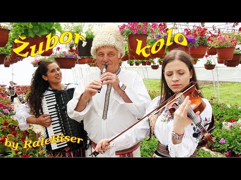 @RadiobiserAt Vitomir Stanojević - Žubor kolo #frula #violina #vioară #pipe