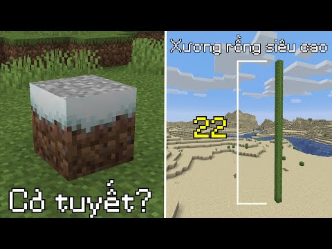 Hungg VN - SUPER RARE Things In Minecraft That You Probably Haven't Heard Of Before - 22 Block Cactus!